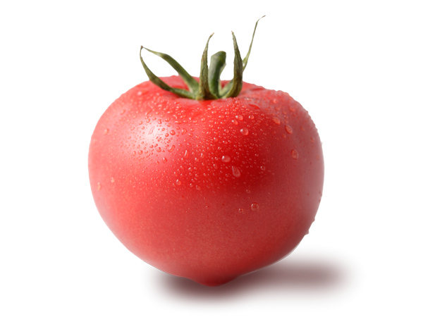 tomato